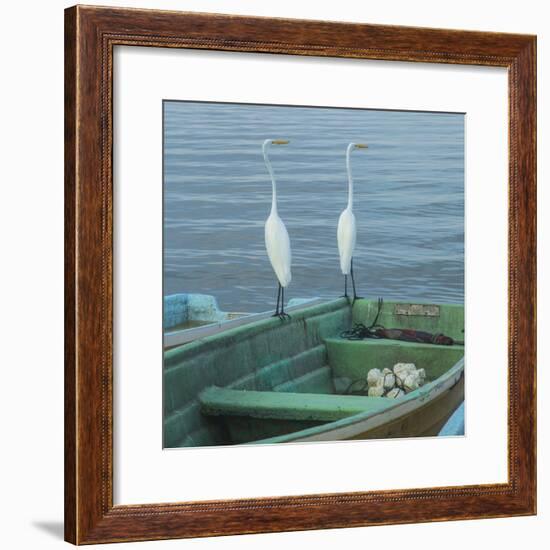 Garzas-4-2-Moises Levy-Framed Photographic Print