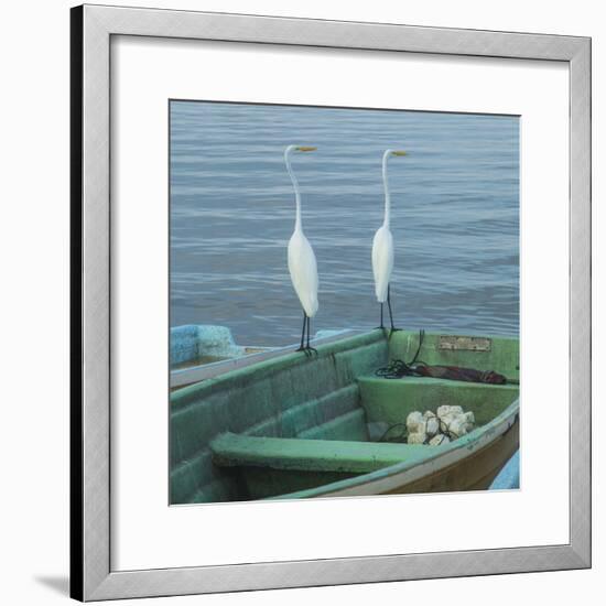 Garzas-4-2-Moises Levy-Framed Photographic Print