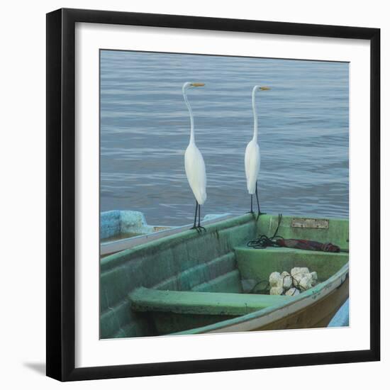 Garzas-4-2-Moises Levy-Framed Photographic Print