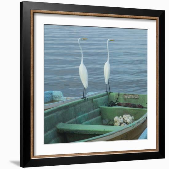 Garzas-4-2-Moises Levy-Framed Photographic Print