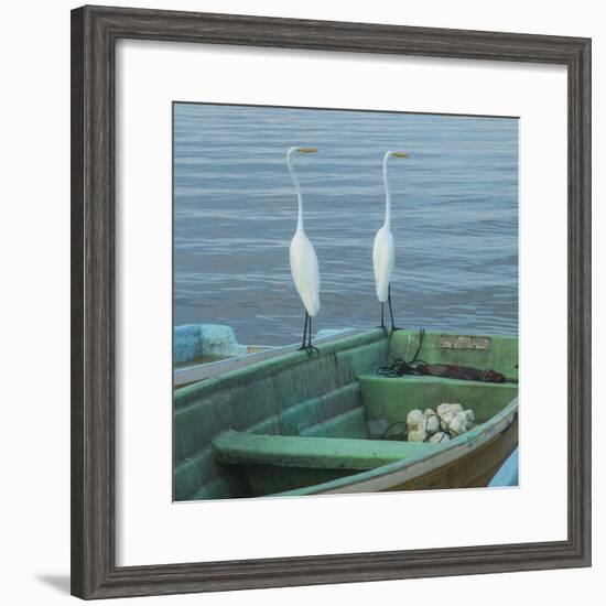 Garzas-4-2-Moises Levy-Framed Photographic Print