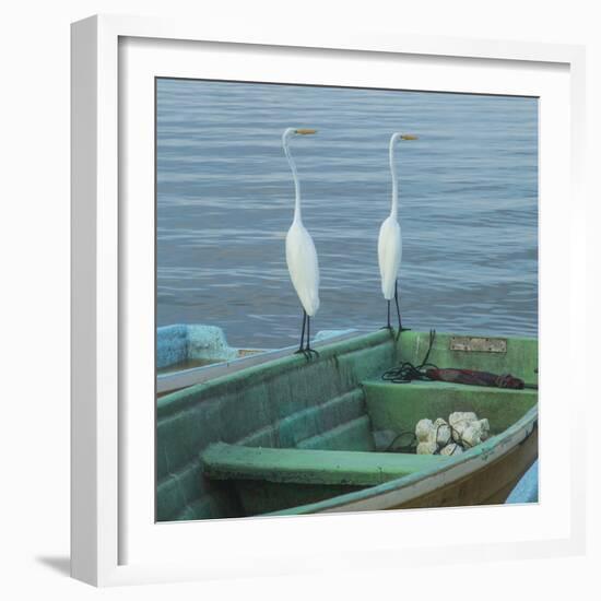 Garzas-4-2-Moises Levy-Framed Photographic Print