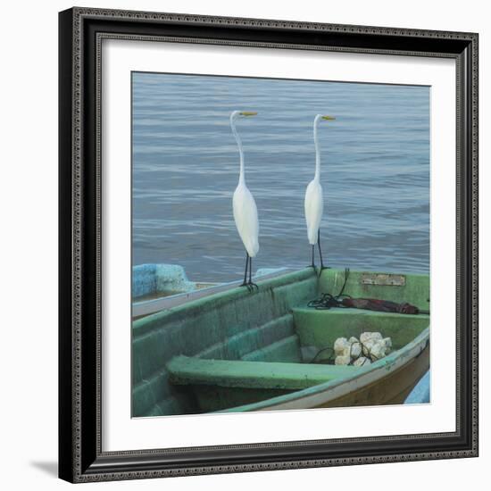 Garzas-4-2-Moises Levy-Framed Photographic Print