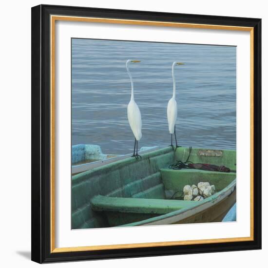 Garzas-4-2-Moises Levy-Framed Photographic Print