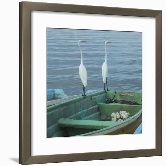 Garzas-4-2-Moises Levy-Framed Photographic Print