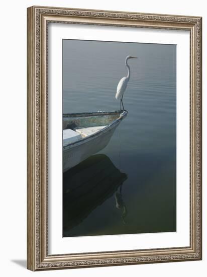 Garzas-6-2-Moises Levy-Framed Photographic Print