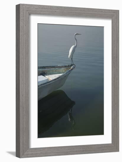 Garzas-6-2-Moises Levy-Framed Photographic Print