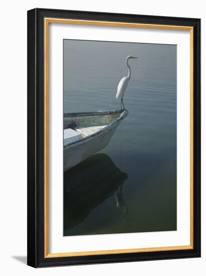 Garzas-6-2-Moises Levy-Framed Photographic Print