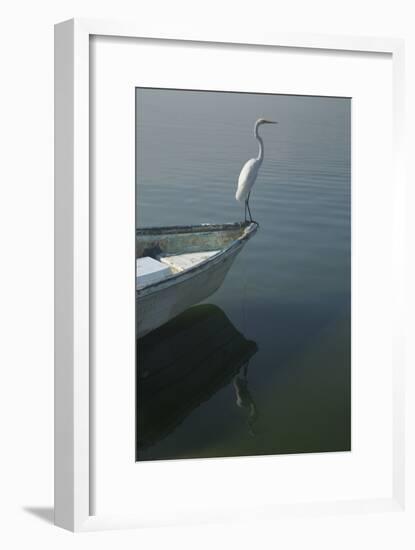 Garzas-6-2-Moises Levy-Framed Photographic Print