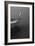 Garzas-6-Moises Levy-Framed Photographic Print