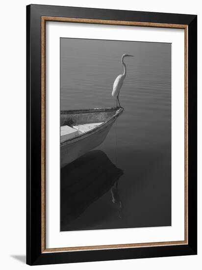 Garzas-6-Moises Levy-Framed Photographic Print