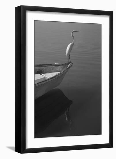 Garzas-6-Moises Levy-Framed Photographic Print