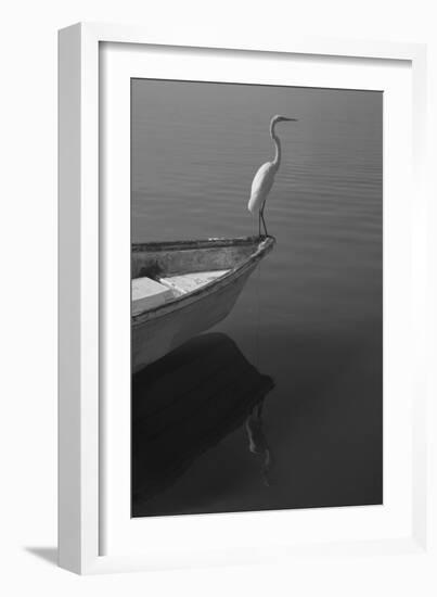 Garzas-6-Moises Levy-Framed Photographic Print