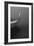Garzas-6-Moises Levy-Framed Photographic Print