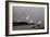 Garzas BW-8-Moises Levy-Framed Photographic Print