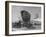 Gas Station Named "The Happy Landing"-Alfred Eisenstaedt-Framed Photographic Print