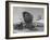 Gas Station Named "The Happy Landing"-Alfred Eisenstaedt-Framed Photographic Print