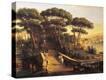 Stretched Canvas Print