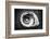 Gastropod Helix-George Oze-Framed Photographic Print