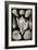 Gastropods-Ernst Haeckel-Framed Art Print