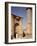 Gate and Minaret of the Medersa, Ince Minare Madrasa, Built 1265-7, Seljuk period, Konya, Turkey-null-Framed Photographic Print