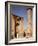 Gate and Minaret of the Medersa, Ince Minare Madrasa, Built 1265-7, Seljuk period, Konya, Turkey-null-Framed Photographic Print