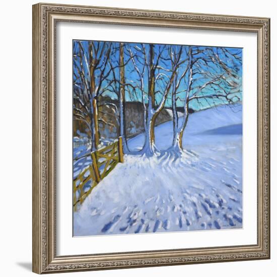 Gate and Trees,Winter, Dam Lane, Derbyshire, 2013-Andrew Macara-Framed Giclee Print