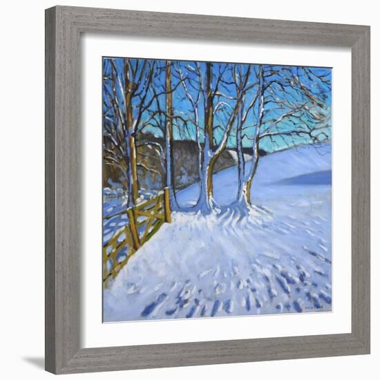 Gate and Trees,Winter, Dam Lane, Derbyshire, 2013-Andrew Macara-Framed Giclee Print