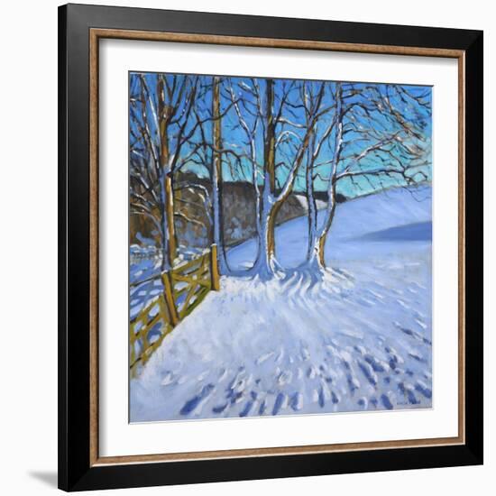 Gate and Trees,Winter, Dam Lane, Derbyshire, 2013-Andrew Macara-Framed Giclee Print