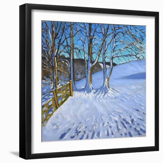 Gate and Trees,Winter, Dam Lane, Derbyshire, 2013-Andrew Macara-Framed Giclee Print