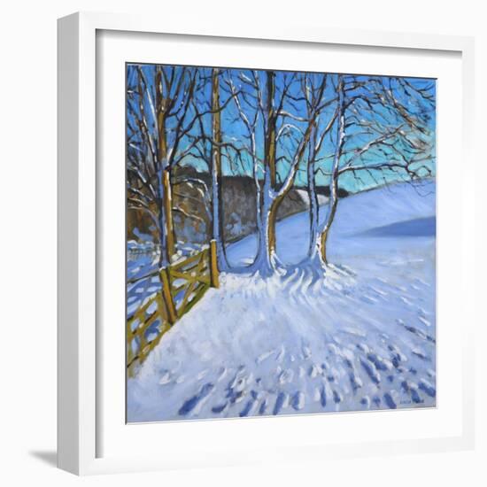 Gate and Trees,Winter, Dam Lane, Derbyshire, 2013-Andrew Macara-Framed Giclee Print