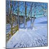 Gate and Trees,Winter, Dam Lane, Derbyshire, 2013-Andrew Macara-Mounted Giclee Print