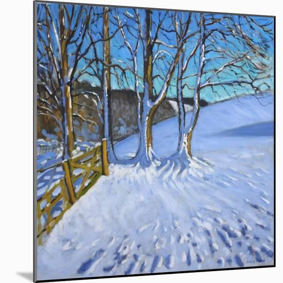 Gate and Trees,Winter, Dam Lane, Derbyshire, 2013-Andrew Macara-Mounted Giclee Print