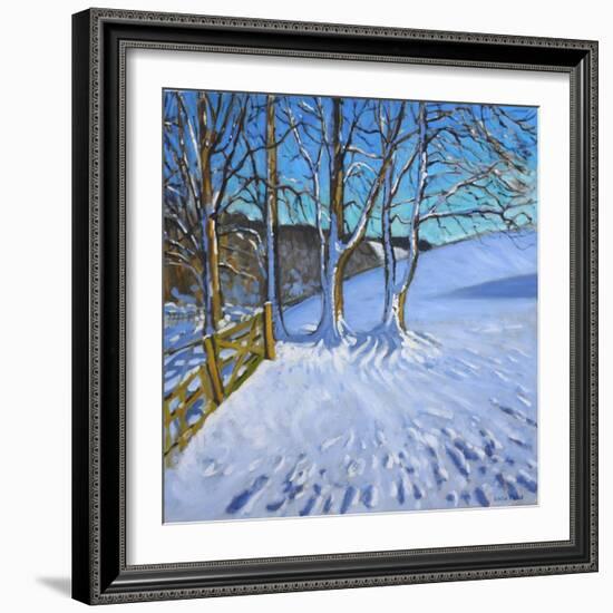 Gate and Trees,Winter, Dam Lane, Derbyshire, 2013-Andrew Macara-Framed Giclee Print