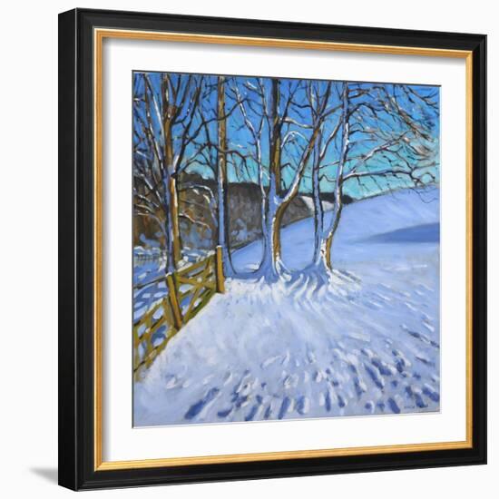 Gate and Trees,Winter, Dam Lane, Derbyshire, 2013-Andrew Macara-Framed Giclee Print