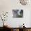 Gate Post with Coat of Arms and Carving, Chateau Carignan, Premieres Cotes De Bordeaux, France-Per Karlsson-Photographic Print displayed on a wall