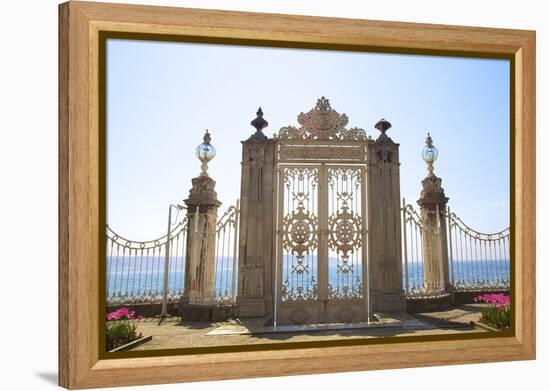 Gate to the Bosphorus, Dolmabahce Palace, Istanbul, Turkey, Europe-Neil Farrin-Framed Premier Image Canvas