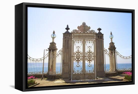 Gate to the Bosphorus, Dolmabahce Palace, Istanbul, Turkey, Europe-Neil Farrin-Framed Premier Image Canvas