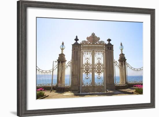 Gate to the Bosphorus, Dolmabahce Palace, Istanbul, Turkey, Europe-Neil Farrin-Framed Photographic Print