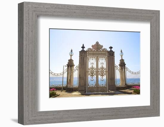 Gate to the Bosphorus, Dolmabahce Palace, Istanbul, Turkey, Europe-Neil Farrin-Framed Photographic Print