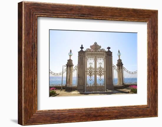 Gate to the Bosphorus, Dolmabahce Palace, Istanbul, Turkey, Europe-Neil Farrin-Framed Photographic Print