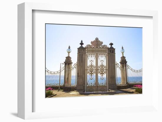 Gate to the Bosphorus, Dolmabahce Palace, Istanbul, Turkey, Europe-Neil Farrin-Framed Photographic Print