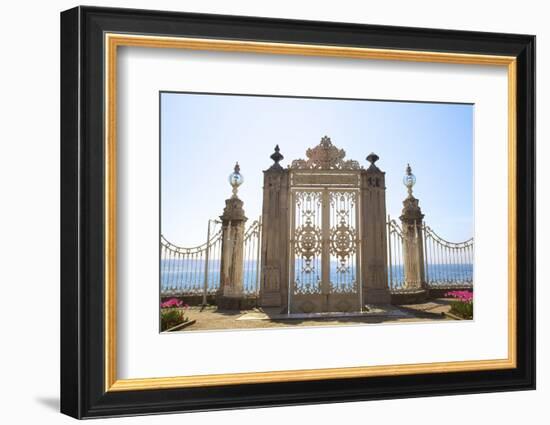 Gate to the Bosphorus, Dolmabahce Palace, Istanbul, Turkey, Europe-Neil Farrin-Framed Photographic Print