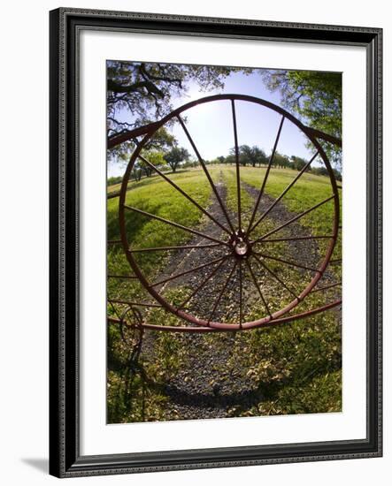 Gate with Metal Wheel Near Cuero, Texas, USA-Darrell Gulin-Framed Photographic Print