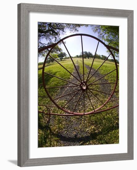 Gate with Metal Wheel Near Cuero, Texas, USA-Darrell Gulin-Framed Photographic Print