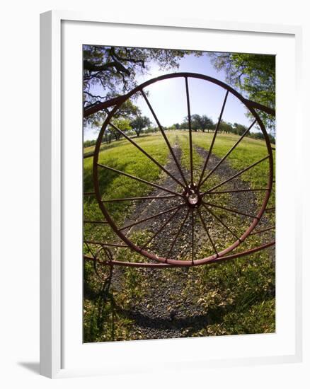 Gate with Metal Wheel Near Cuero, Texas, USA-Darrell Gulin-Framed Photographic Print