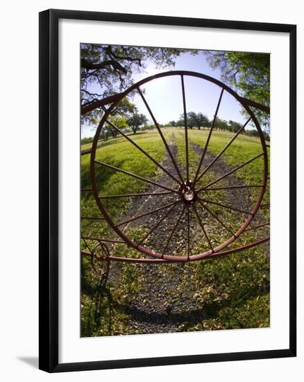 Gate with Metal Wheel Near Cuero, Texas, USA-Darrell Gulin-Framed Photographic Print