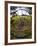 Gate with Metal Wheel Near Cuero, Texas, USA-Darrell Gulin-Framed Photographic Print