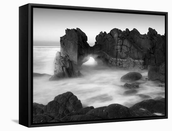 Gate-Moises Levy-Framed Premier Image Canvas