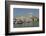 Gateway of India on the Dockside Beside the Taj Mahal Hotel, Mumbai, India, Asia-Tony Waltham-Framed Photographic Print